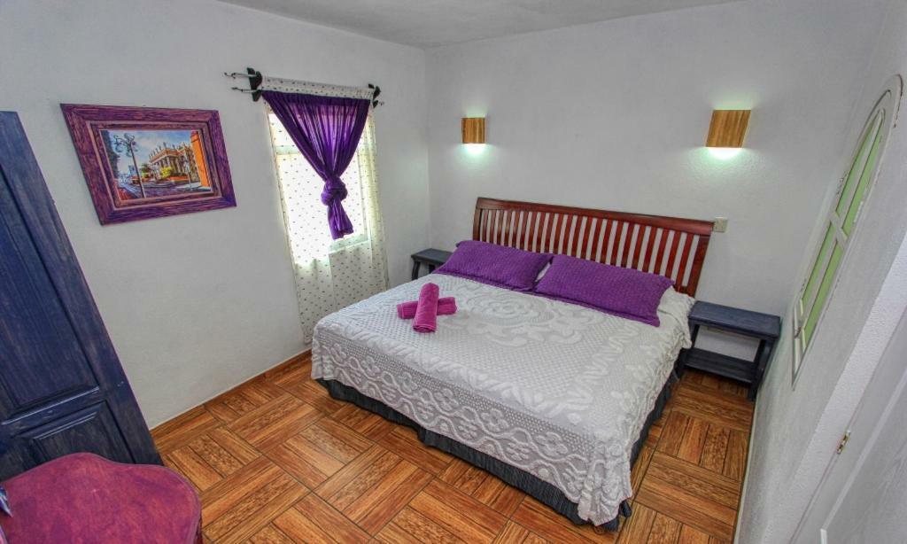 Hotel Spa Maggic Home Panoramica กัวนาฮัวโต ภายนอก รูปภาพ